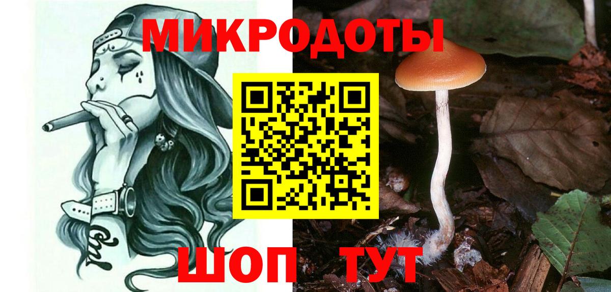 Псилоцибиновые грибы прущие грибы  Вход с VPN  Кашира  Галлюциногенные грибы Psilocybe 