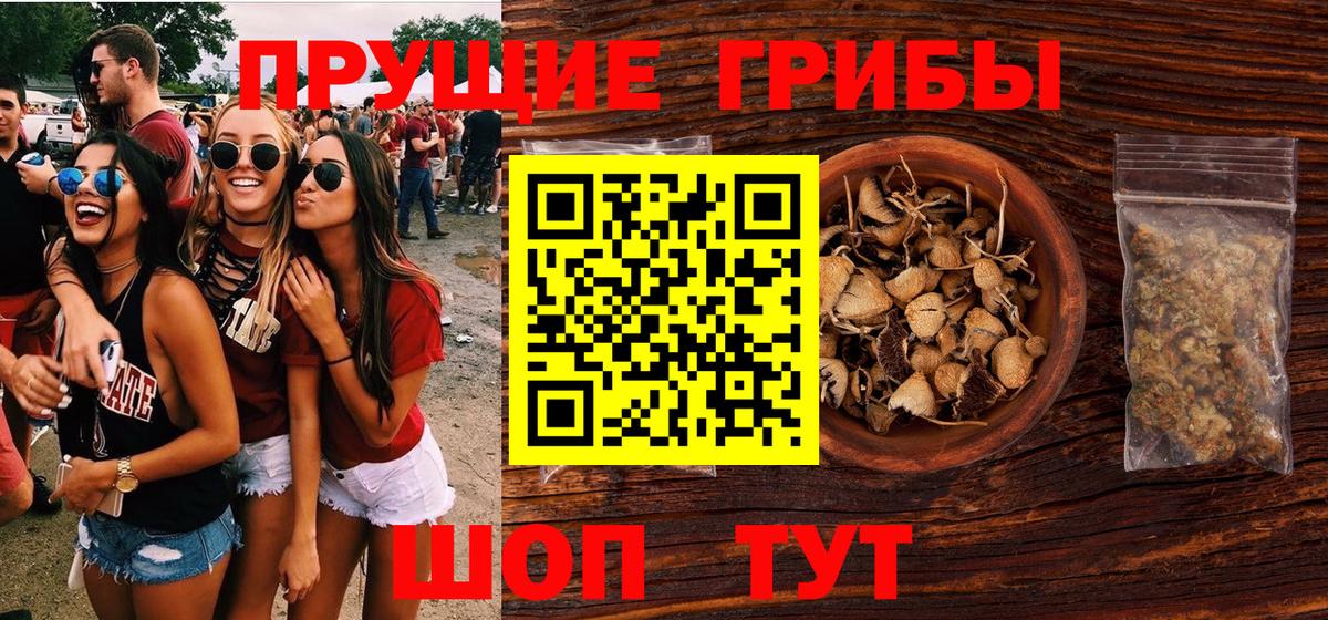 Псилоцибиновые грибы MAGIC MUSHROOMS Кашира